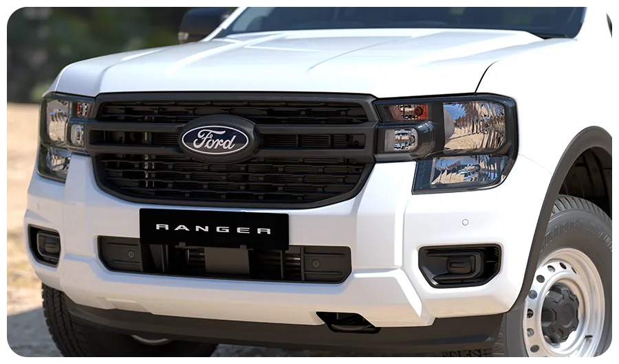 Bold Front Face